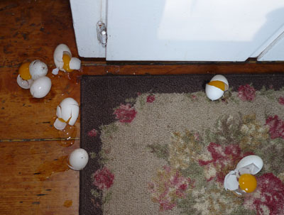 Duck eggs for breakfast - not