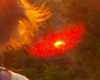 Doug orb?
