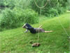 Rope Man: Post somersault
